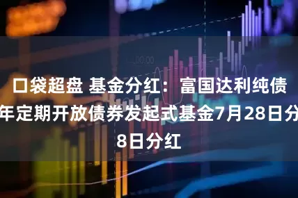 口袋超盘 基金分红：富国达利纯债一年定期开放债券发起式基金7月28日分红