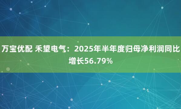 万宝优配 禾望电气：2025年半年度归母净利润同比增长56.79%