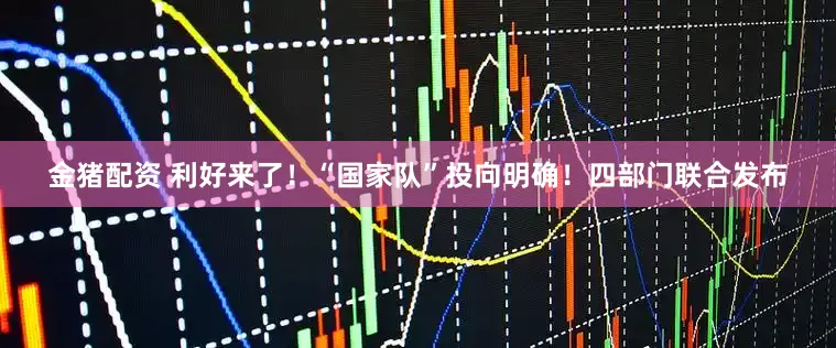 金猪配资 利好来了！“国家队”投向明确！四部门联合发布